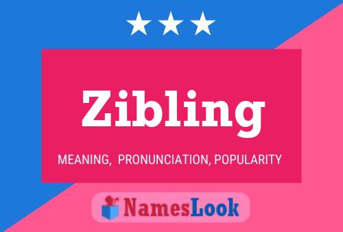 Zibling Name Poster