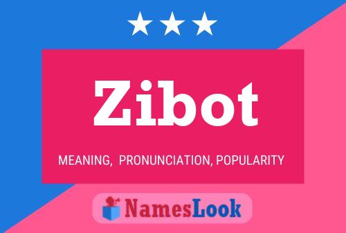 Zibot Name Poster