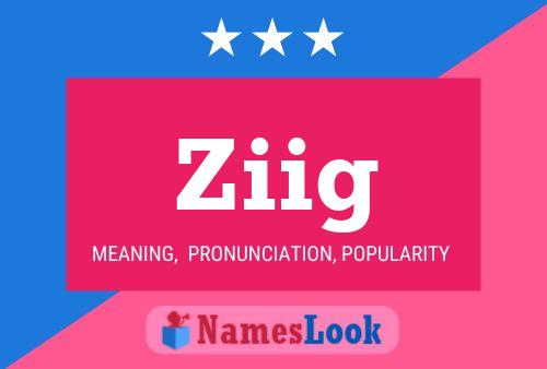 Ziig Name Poster