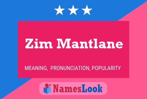 Zim Mantlane Name Poster