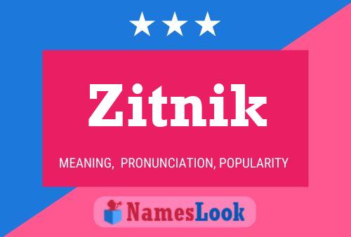 Zitnik Name Poster