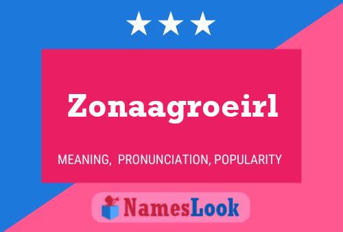 Zonaagroeirl Name Poster