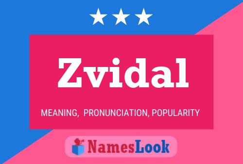 Zvidal Name Poster