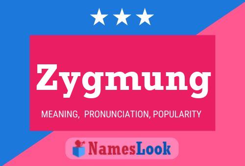 Zygmung Name Poster